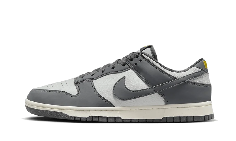 Nike Dunk Low Next Nature Iron Grey Lightning