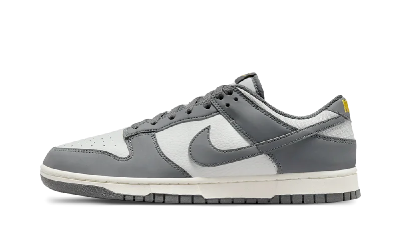 Nike Dunk Low Next Nature Iron Grey Lightning