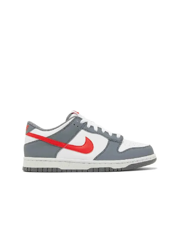 Nike Dunk Low Next Nature Smoke Grey Light Crimson (GS)