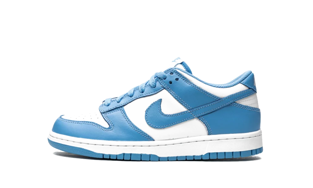 Nike Dunk Low UNC (2021)